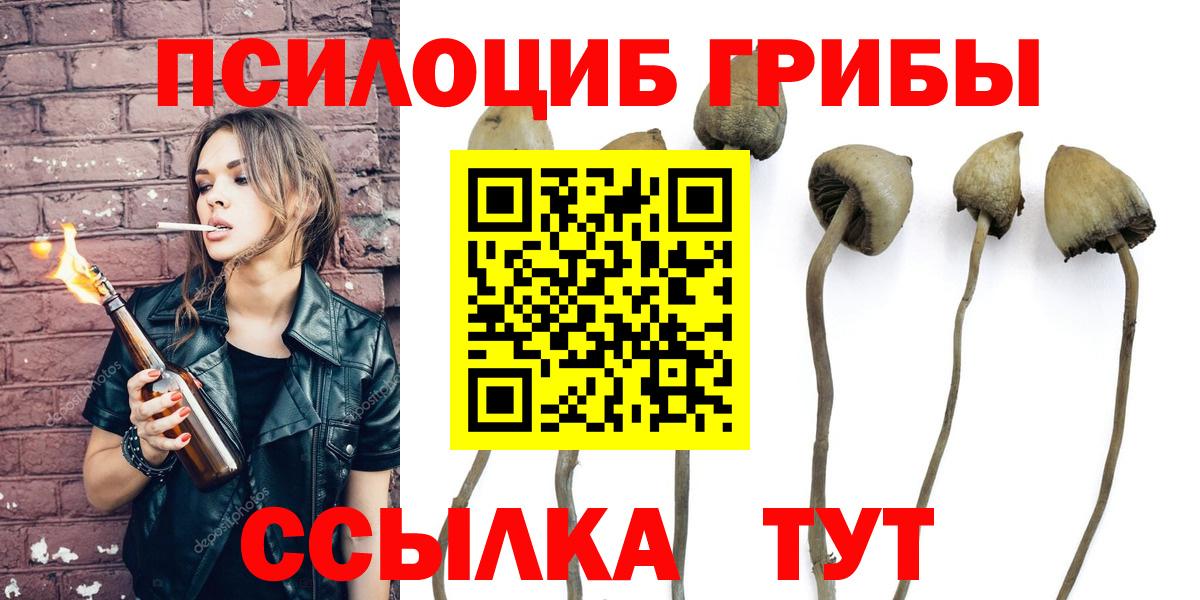 Арзамас  Псилоцибиновые грибы мицелий  Галлюциногенные грибы Magic Shrooms  цена наркотик  Вход с VPN 